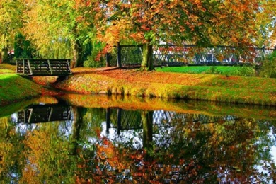 Free Fall Wallpapers   Uwallo