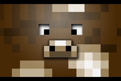 Steve Minecraft , Lb Photo Realism, Minecraft Lb Photo, Minecraft ...