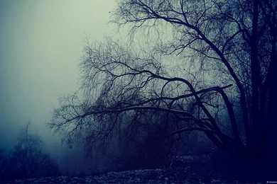 Desktop Wallpaper Images Awesome   Fullwidehd.com