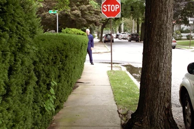 Halloween 1978 Hedge Scene (Director's Cut)   YouTube