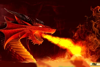 Live Fire Wallpapers   Wallpapers Zone