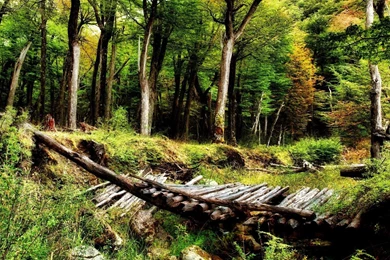 Nature Wallpapers Free Download