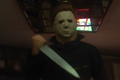 Michael Myers.net • View Topic   Updated Halloween 1978 Costume (pics)