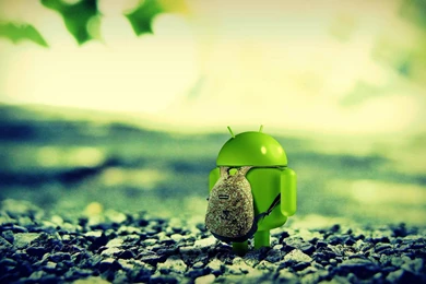 HD Wallpapers For Android Tablet Best HD Desktop Wallpapers 1080p ...