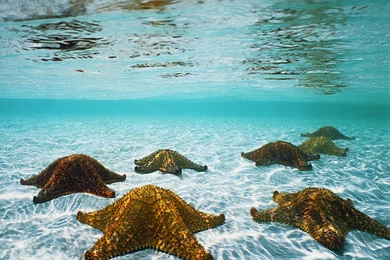 Photo Desktop Wallpapers   Wallpapers HD Wide