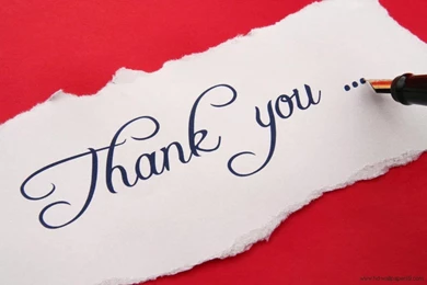 THANK YOU 013, Quotes