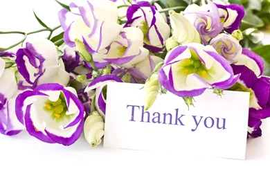 Thank You With Flower HD Image Wallpapers Free Pics