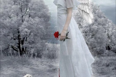 Angel Wallpapers For Mobile   Wallpapers Zone