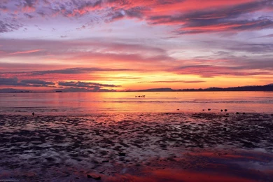 Computer Desktop Backgrounds (6)