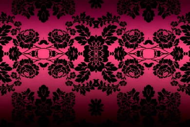Pink And Black Damask