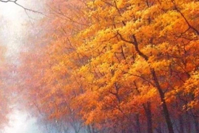 Outstanding Free Wallpapers For Samsung Galaxy S3