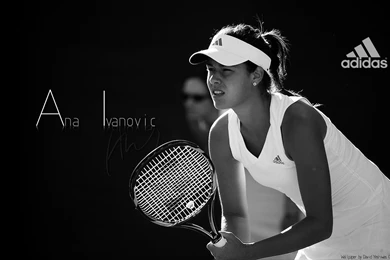 Ivanovic Wallpapers   Wallpapers Cave