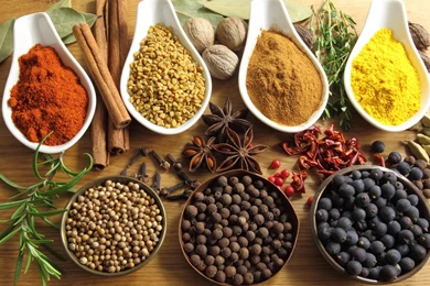 TERRA TRADING CO.,LTD.