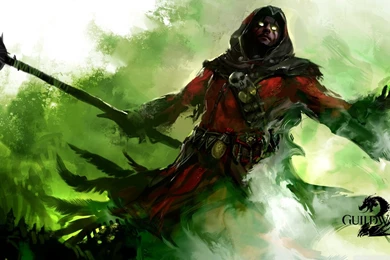 Guild Wars 2 Human Necromancer HD Desktop Wallpapers : Widescreen ...