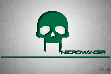 Necromancer Wallpapers By TheFrageN On DeviantArt