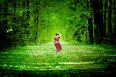 Free Download Wallpapers Hd Collection (33+)