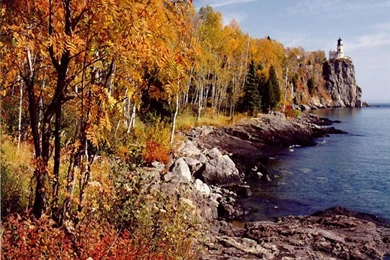 Thanksgiving Fall Autumn Backgrounds