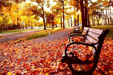 Fall Wallpapers Desktop