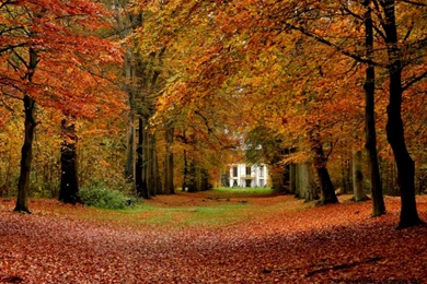 Free Autumn Desktop Wallpapers