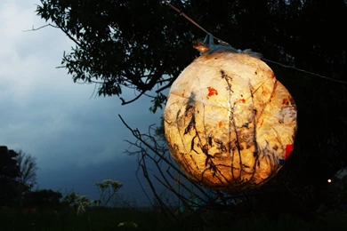 Oriental Wallpapers   Wallpapers Cave