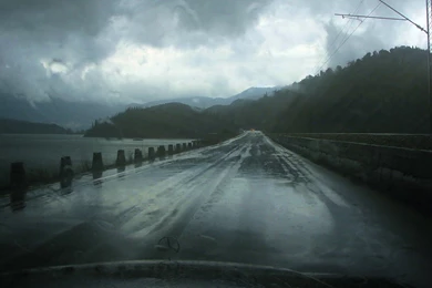 Rainy Nature HD Wallpapers (10)