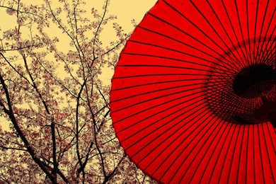 High Resolution Beautiful Chinese Ethnic Oriental Wallpapers HD 14 ...