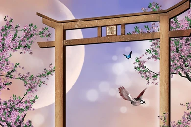 Blossoms Oriental HD Desktop Wallpapers : Widescreen : High ...