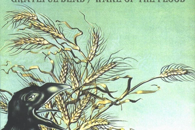 My Free Wallpapers   Music Wallpapers : Grateful Dead   Wake Of The ...