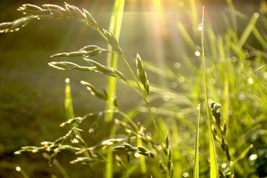 Rainy Wallpapers 1920x1080 (16) Hebus.org High Definition ...