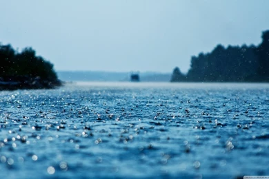 Summer Rain HD Desktop Wallpapers : High Definition : Fullscreen ...