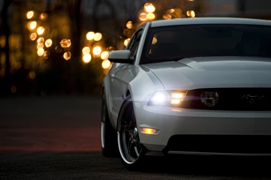 2560x1600 Ford, Mustang, Ford, Front, Muscle Car, Gt, White, White ...