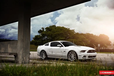 Mustang Wallpapers