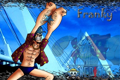 Franky☠(SuPer)   Franky (One Piece) Wallpapers (36426594)   Fanpop