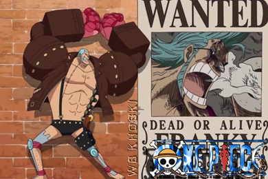 44 Franky (One Piece) HD Wallpapers
