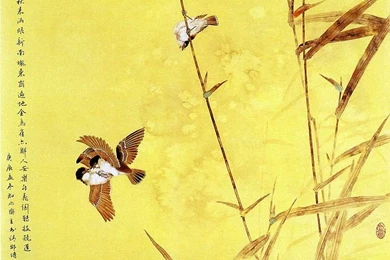 Flowers And Birds, Chinese Gongbi Paintings By Zou Chuan An ...