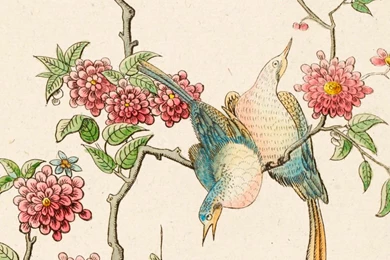 Nature Pattern Wallpapers / Animal Motif / Paper / Traditional ...