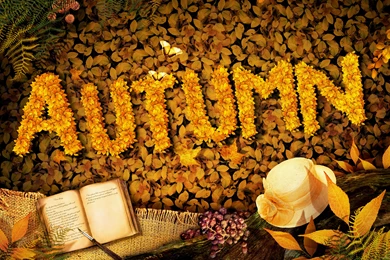 Autumn_Background_with_Book.jpg?m=1399676400