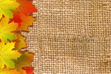 Thank You Card On A Bright Autumn Backgrounds Of Stock Vector