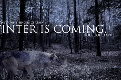 Strider Game Of Thrones Winter Is Coming Wolves Wallpapers