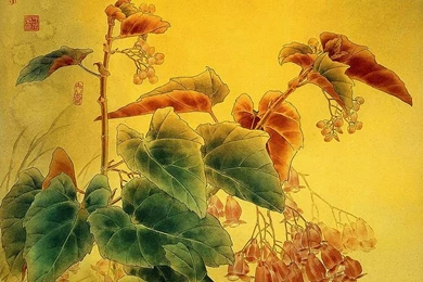 Chinese Gongbi Paintings : Bird and flower Painting Wallpapers 4 ...