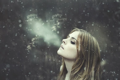 Winter Is Coming : Desktop And Mobile Wallpapers : Wallippo