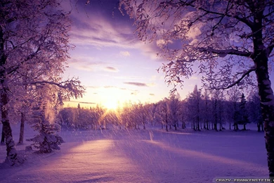 Winter Is Coming Wallpapers