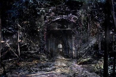 DOW GAMEON !!: WALLPAPERS  RESIDENT EVIL 4,5,6