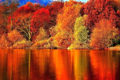 Autumn Wallpapers Hd