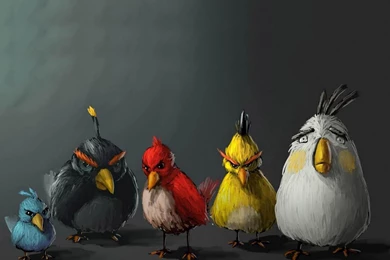 Funny Wallpapers 1920x1080   Wallpapers Cave