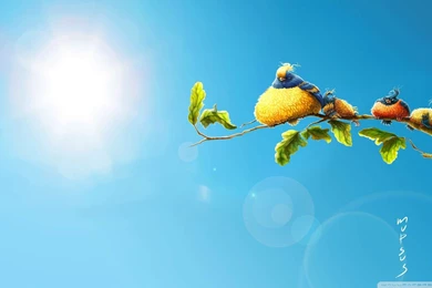 Funny HD Wallpapers 1080p   Wallpapers Zone