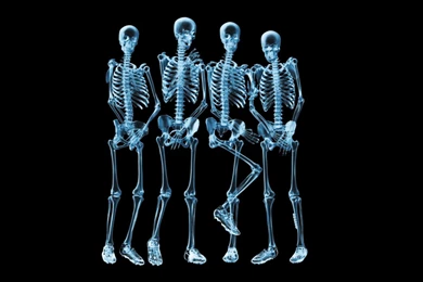 Funny Wallpapers C4c   HD Wallpapers