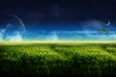 Samsung Galaxy Tab   Page 16