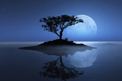 Samsung Galaxy Tab 10 Tablet Wallpapers And Backgrounds