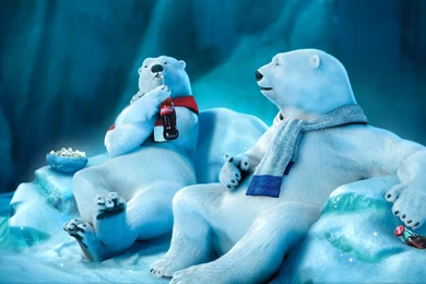 Polar Bear Drinking Coca Cola Wallpapers